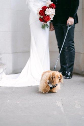 mobile - carousel-hero-element image-3